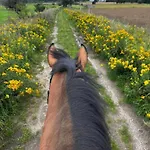 Wczasowe Esperanza * Trzęsacz
