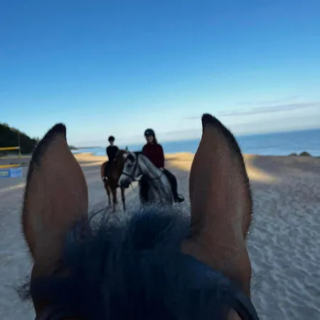 Wczasowe Esperanza *