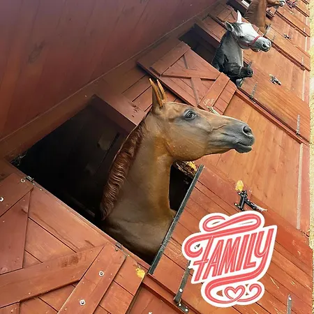 Feriehus Wczasowe Esperanza Trzęsacz