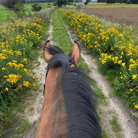 Wczasowe Esperanza * Trzęsacz