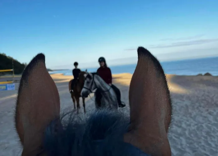 Wczasowe Esperanza *