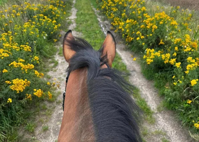 Wczasowe Esperanza * Trzęsacz